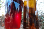 White House Honey Porter