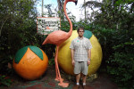 Fort Lauderdale, Florida: Flamingo Gardens and Wildlife Sanctuary