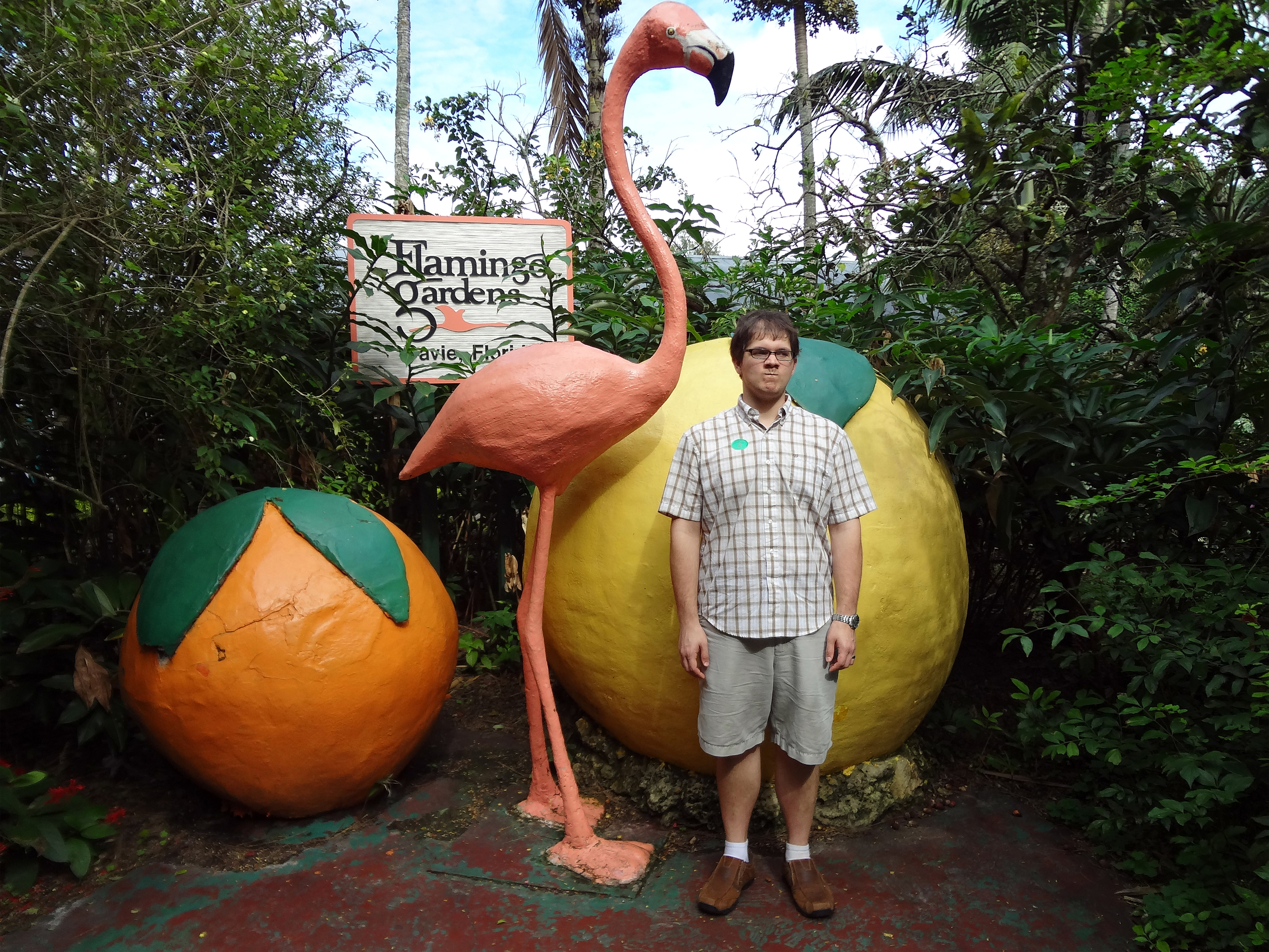 flamingo garden fort lauderdale