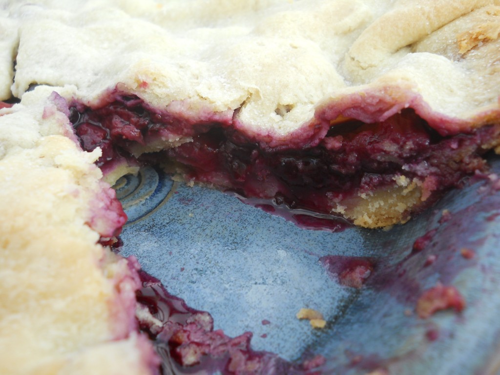 Blueberry & Strawberry (Freedom) Pie Filling -spatialdrift
