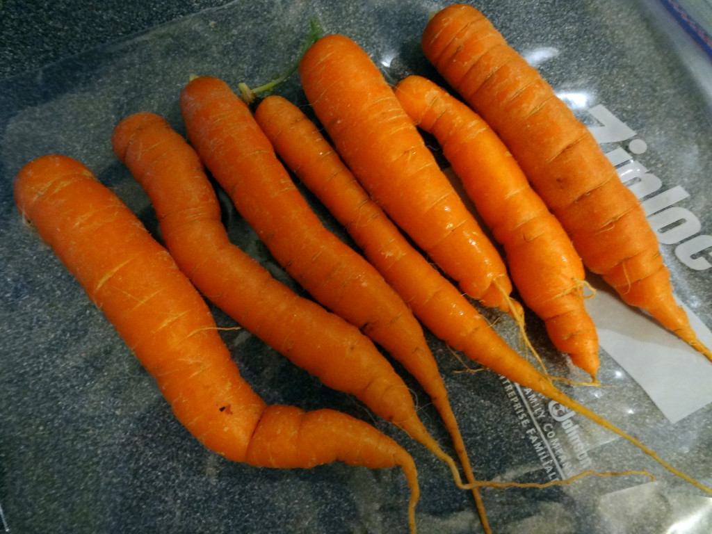 homegrown carrots for carrot cake