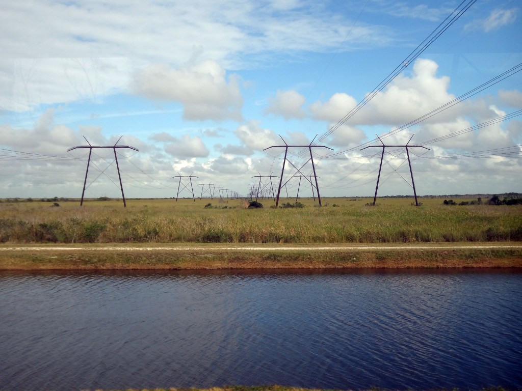 Everglades Powerlines