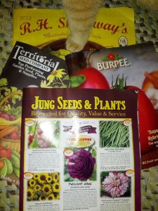 seed catalogs and kitty leg
