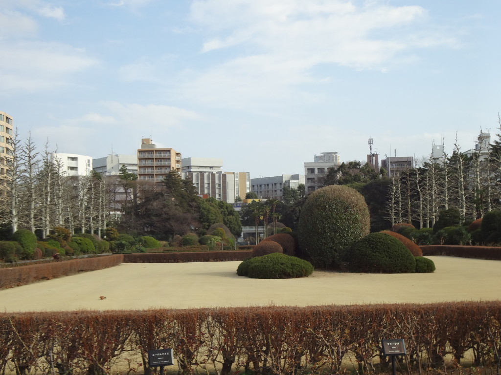 Shinjuku Gyoen rose garden and topiary area