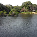 Traditional Japanese Style Gardens