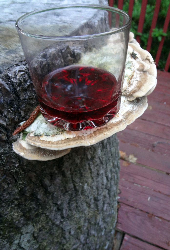Wine on tree fungi
