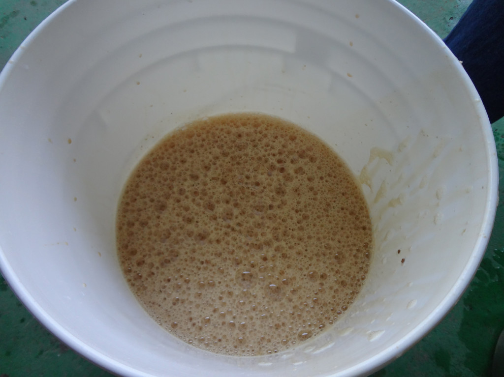The wort, prior to getting the additional water