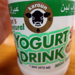 Karoun's Yogurt Drink